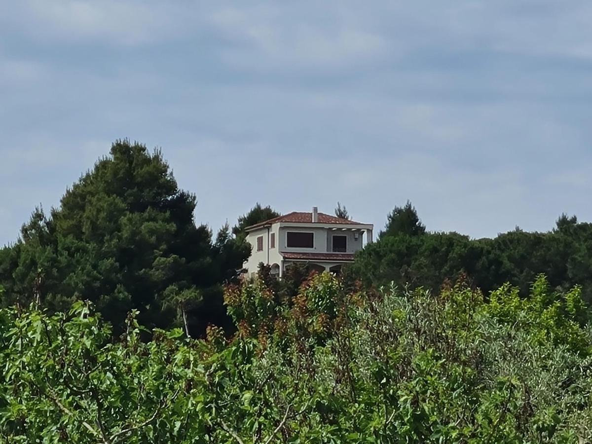 Alghero - House With Panoramic View Immersed In Full Nature Exteriör bild